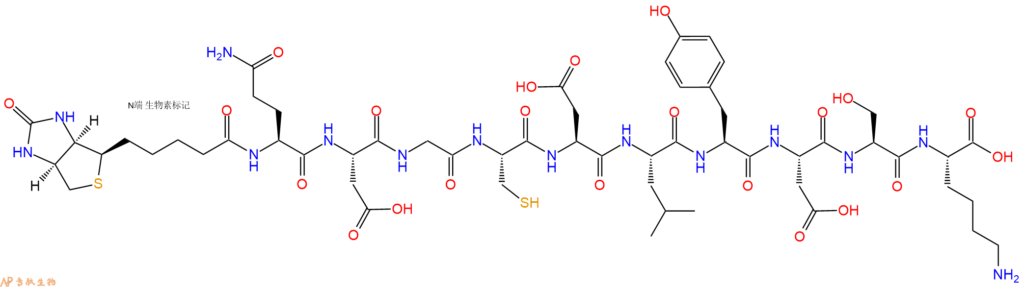 专肽生物产品Biotinyl-Gln-Asp-Gly-Cys-Asp-Leu-Tyr-Asp-Ser-Lys-OH
