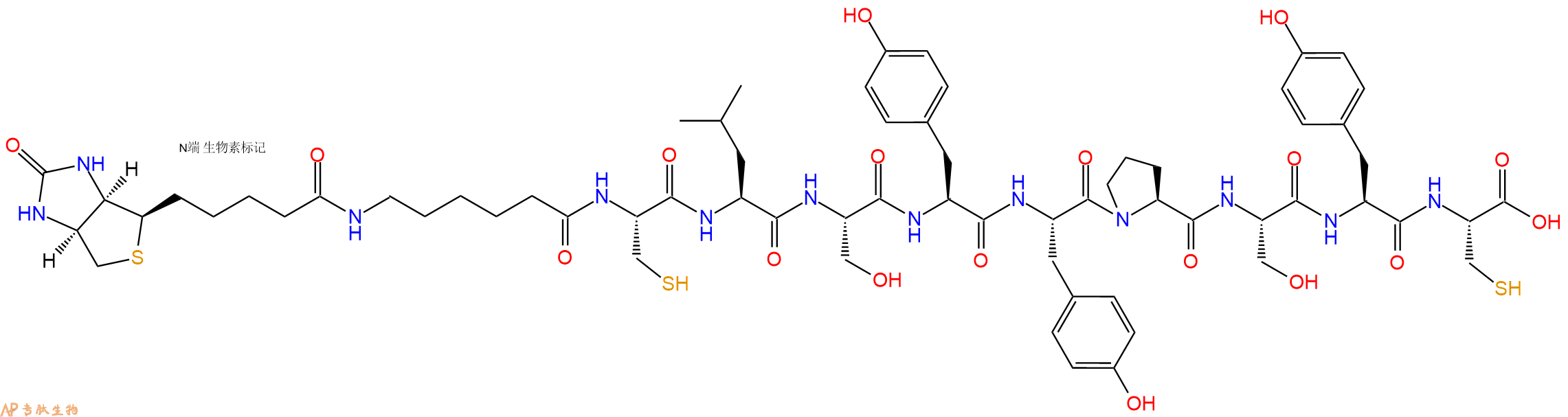 专肽生物产品Biotinyl-Ahx-Cys-Leu-Ser-Tyr-Tyr-Pro-Ser-Tyr-Cys-OH