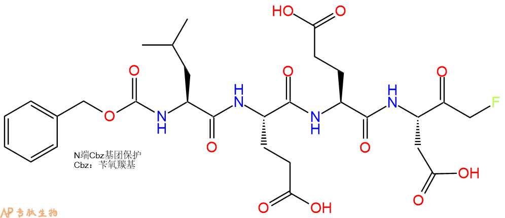 专肽生物产品Cbz-Leu-Glu-Glu-Asp-FMK