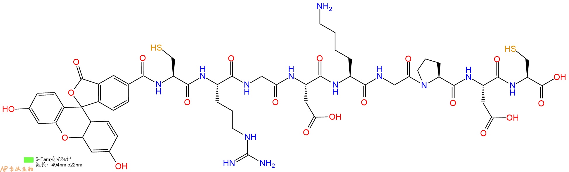 专肽生物产品5FAM-Cys-Arg-Gly-Asp-Lys-Gly-Pro-Asp-Cys-OH