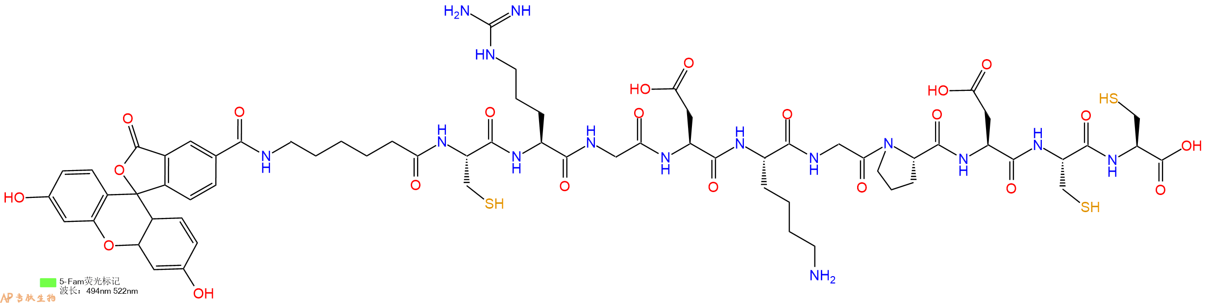 专肽生物产品5FAM-Ahx-Cys-Arg-Gly-Asp-Lys-Gly-Pro-Asp-Cys-Cys-OH
