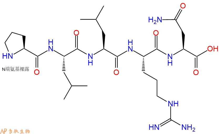专肽生物产品H2N-Pro-Leu-Leu-Arg-Asn-OH
