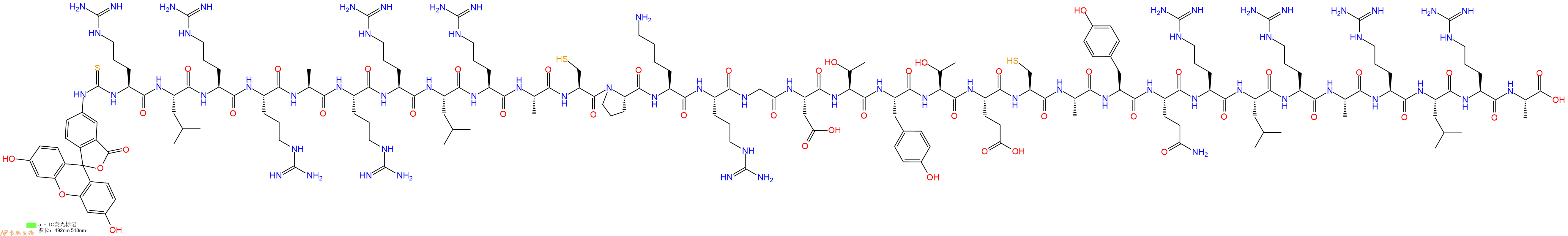 专肽生物产品5FITC-Arg-Leu-Arg-Arg-Ala-Arg-Arg-Leu-Arg-Ala-Cys-Pro-Lys-Arg-Gly-Asp-Thr-Tyr-Thr-Glu-Cys-Ala-Tyr-Gln-Arg-Leu-Arg-Ala-Arg-Leu-Arg-Ala-OH