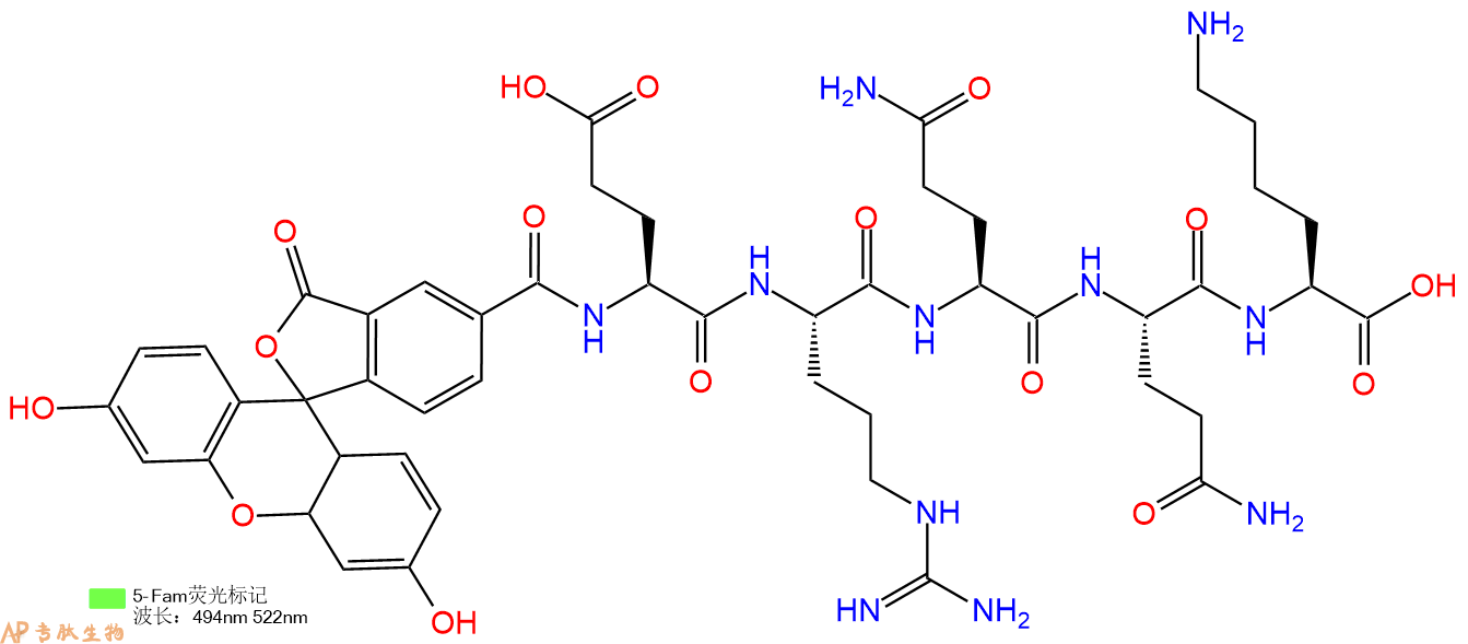 专肽生物产品5FAM-Glu-Arg-Gln-Gln-Lys-OH