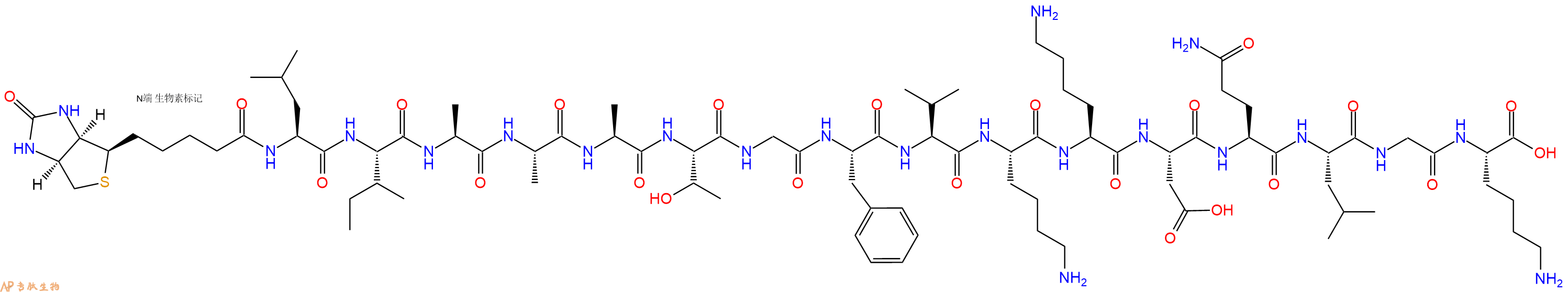 专肽生物产品Biotinyl-Leu-Ile-Ala-Ala-Ala-Thr-Gly-Phe-Val-Lys-Lys-Asp-Gln-Leu-Gly-Lys-OH