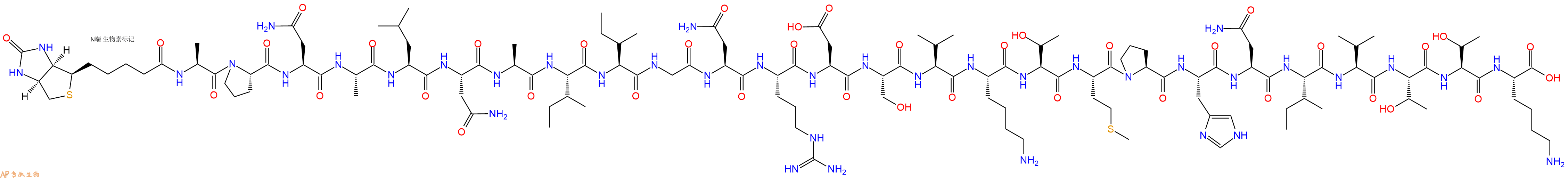 专肽生物产品Biotinyl-Ala-Pro-Asn-Ala-Leu-Asn-Ala-Ile-Ile-Gly-Asn-Arg-Asp-Ser-Val-Lys-Thr-Met-Pro-His-Asn-Ile-Val-Thr-Thr-Lys-OH