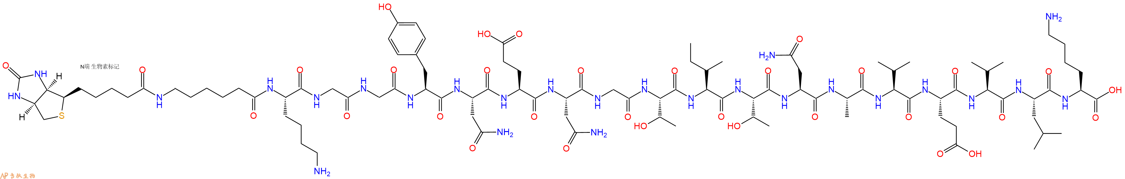 专肽生物产品Biotinyl-Ahx-Lys-Gly-Gly-Tyr-Asn-Glu-Asn-Gly-Thr-Ile-Thr-Asn-Ala-Val-Glu-Val-Leu-Lys-OH