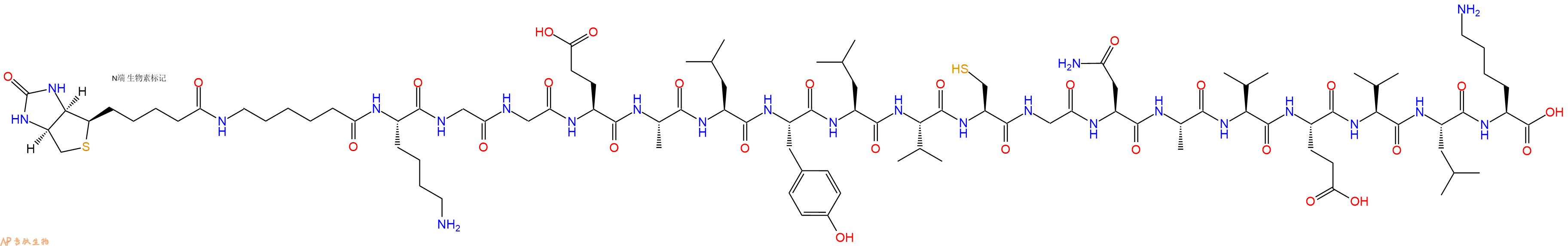 专肽生物产品Biotinyl-Ahx-Lys-Gly-Gly-Glu-Ala-Leu-Tyr-Leu-Val-Cys-Gly-Asn-Ala-Val-Glu-Val-Leu-Lys-OH