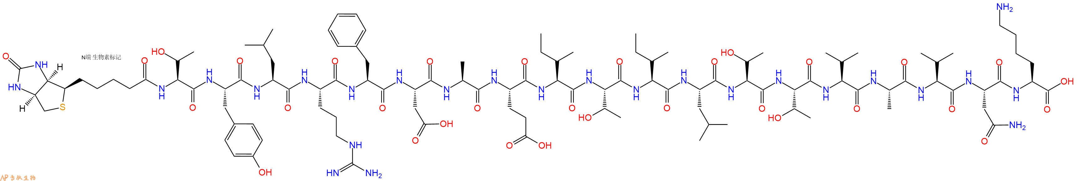 专肽生物产品Biotinyl-Thr-Tyr-Leu-Arg-Phe-Asp-Ala-Glu-Ile-Thr-Ile-Leu-Thr-Thr-Val-Ala-Val-Asn-Lys-OH