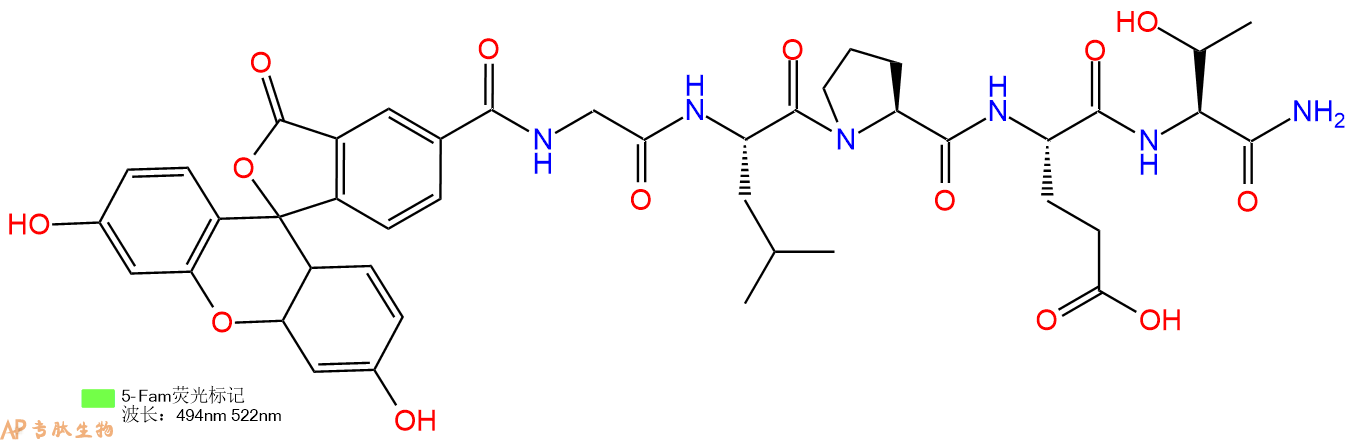 专肽生物产品5FAM-Gly-Leu-Pro-Glu-Thr-CONH2