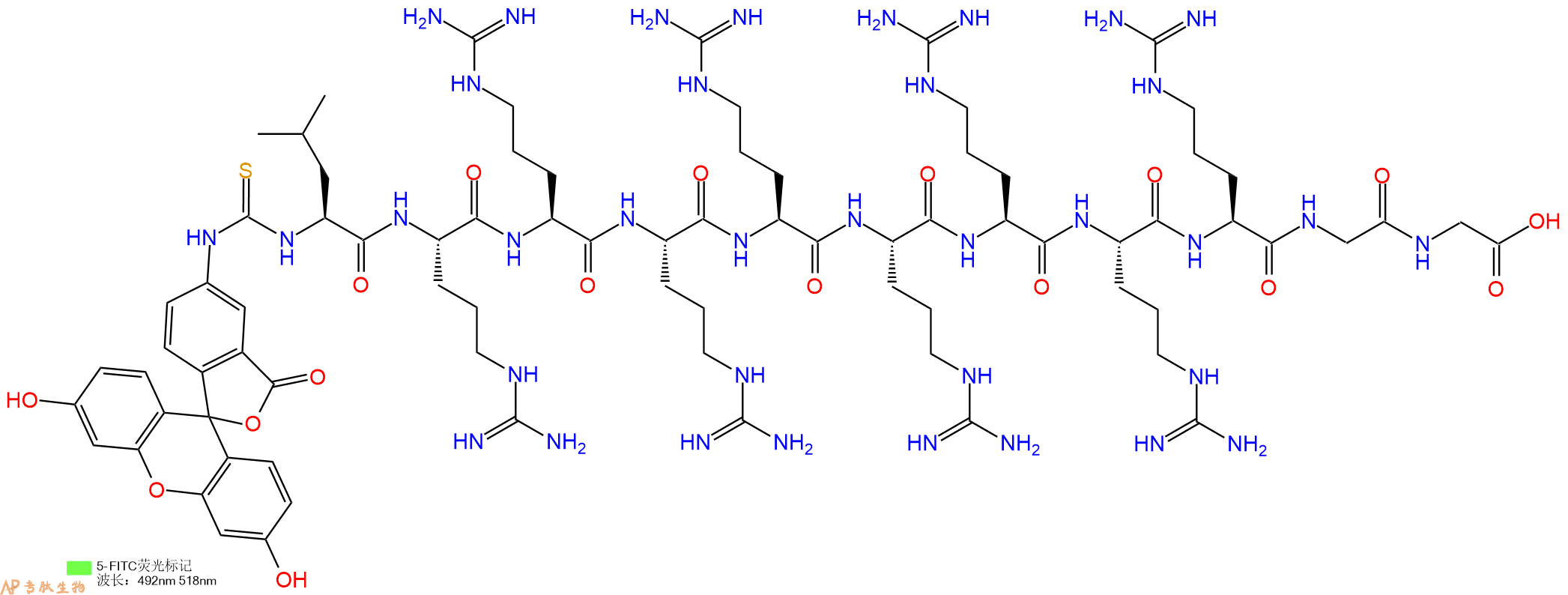 专肽生物产品5FITC-Leu-Arg-Arg-Arg-Arg-Arg-Arg-Arg-Arg-Gly-Gly-OH
