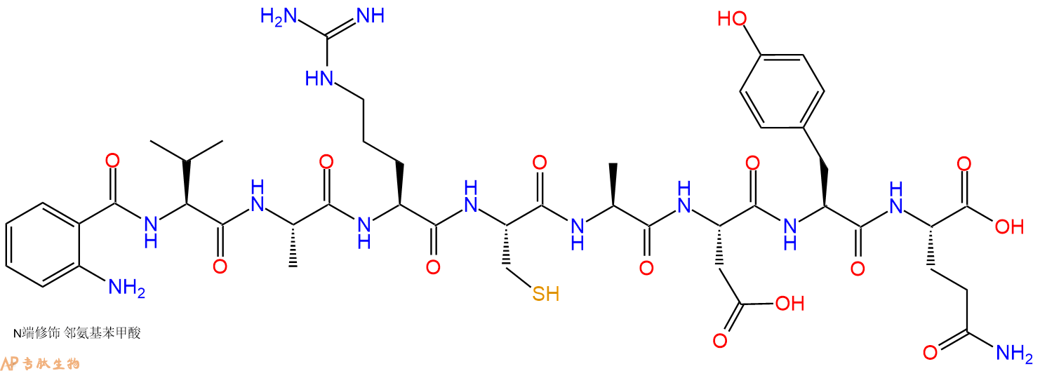 专肽生物产品Abz-Val-Ala-Arg-Cys-Ala-Asp-Tyr-Gln-OH