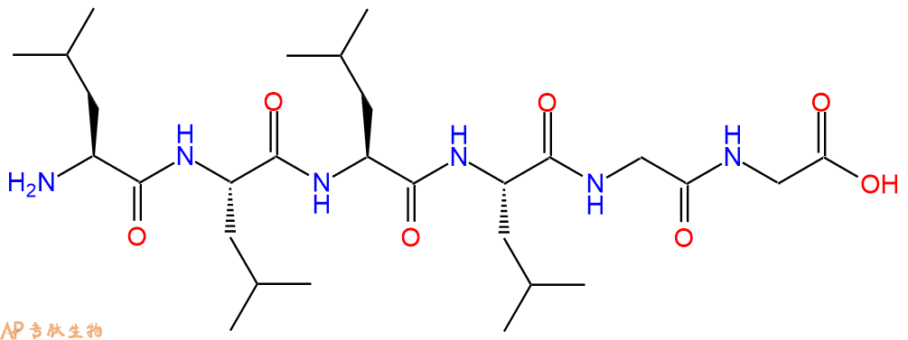 专肽生物产品H2N-Leu-Leu-Leu-Leu-Gly-Gly-OH