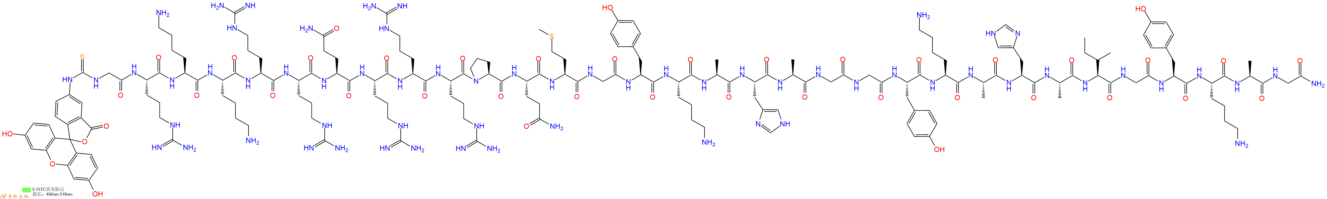 专肽生物产品5FITC-Gly-Arg-Lys-Lys-Arg-Arg-Gln-Arg-Arg-Arg-Pro-Gln-Met-Gly-Tyr-Lys-Ala-His-Ala-Gly-Gly-Tyr-Lys-Ala-His-Ala-Ile-Gly-Tyr-Lys-Ala-Gly-CONH2