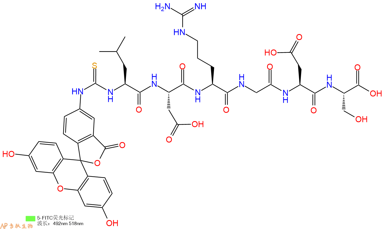 专肽生物产品5FITC-Leu-Asp-Arg-Gly-Asp-Ser-OH