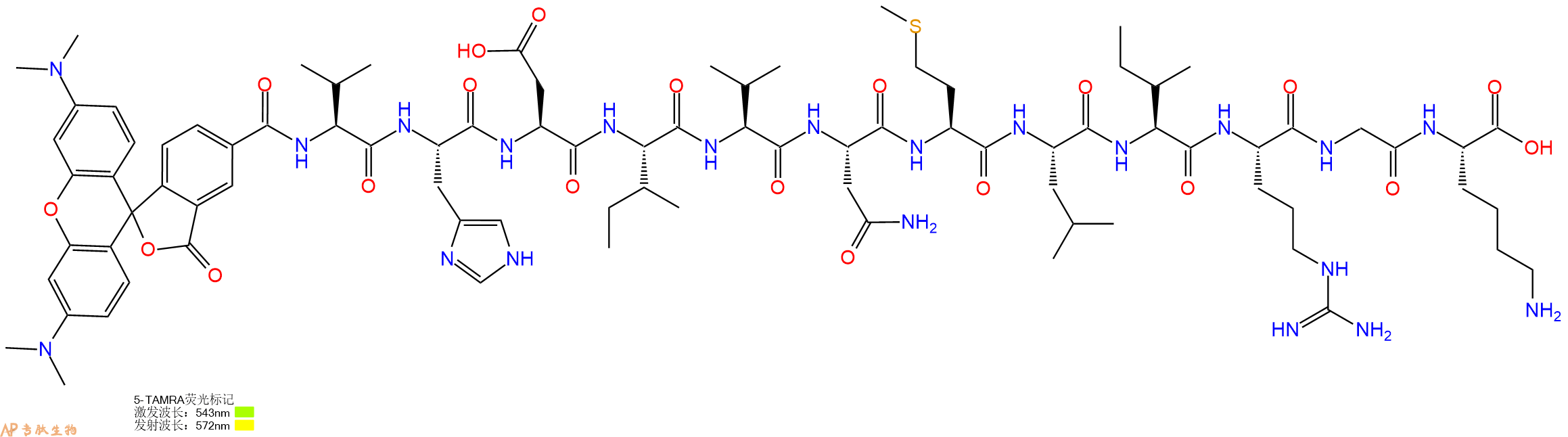专肽生物产品5TAMRA-Val-His-Asp-Ile-Val-Asn-Met-Leu-Ile-Arg-Gly-Lys-OH