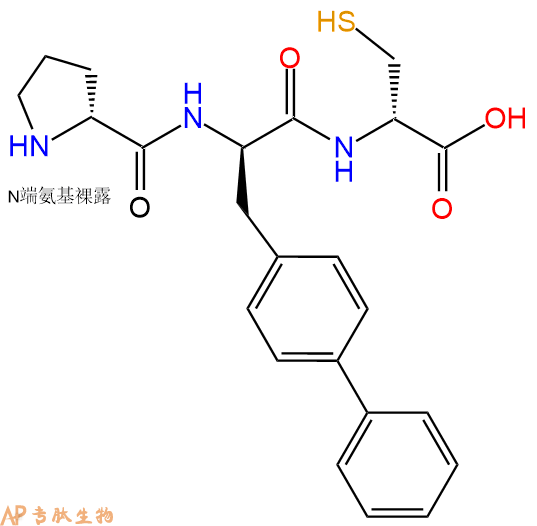 专肽生物产品H2N-DPro-DBip-DCys-OH