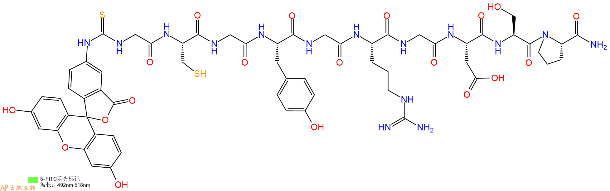 专肽生物产品5FITC-Gly-Cys-Gly-Tyr-Gly-Arg-Gly-Asp-Ser-Pro-CONH2