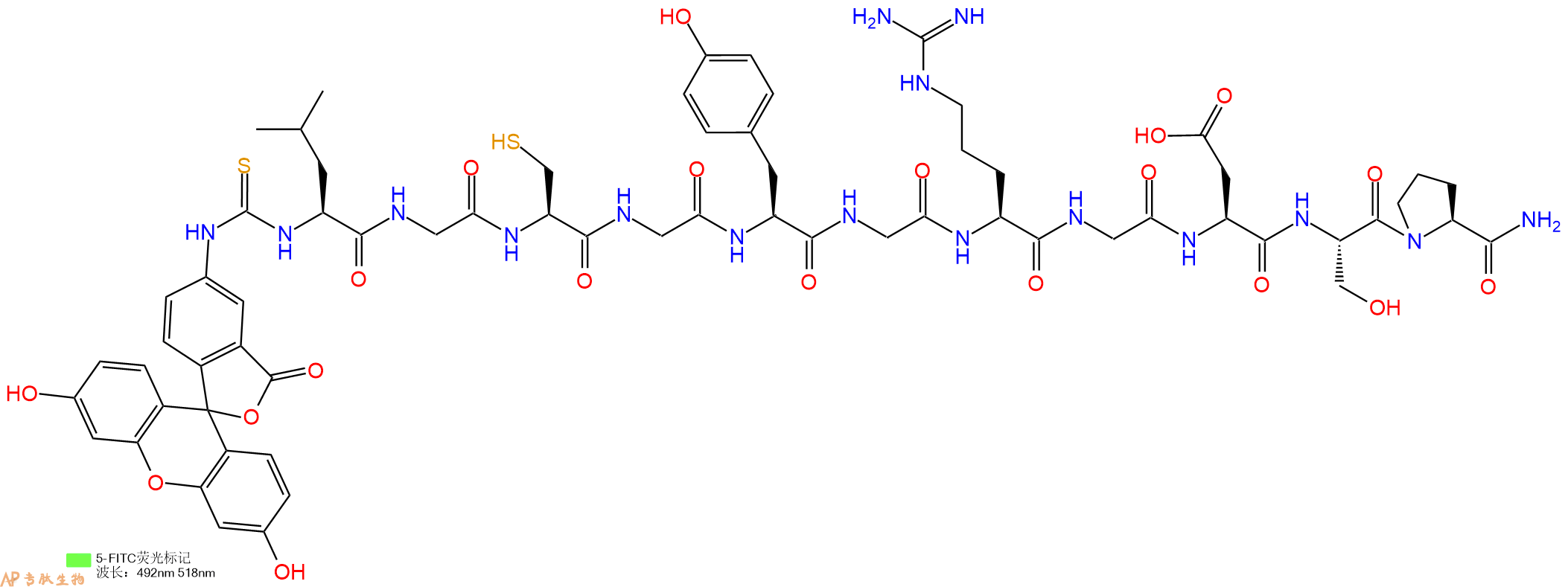 专肽生物产品5FITC-Leu-Gly-Cys-Gly-Tyr-Gly-Arg-Gly-Asp-Ser-Pro-CONH2