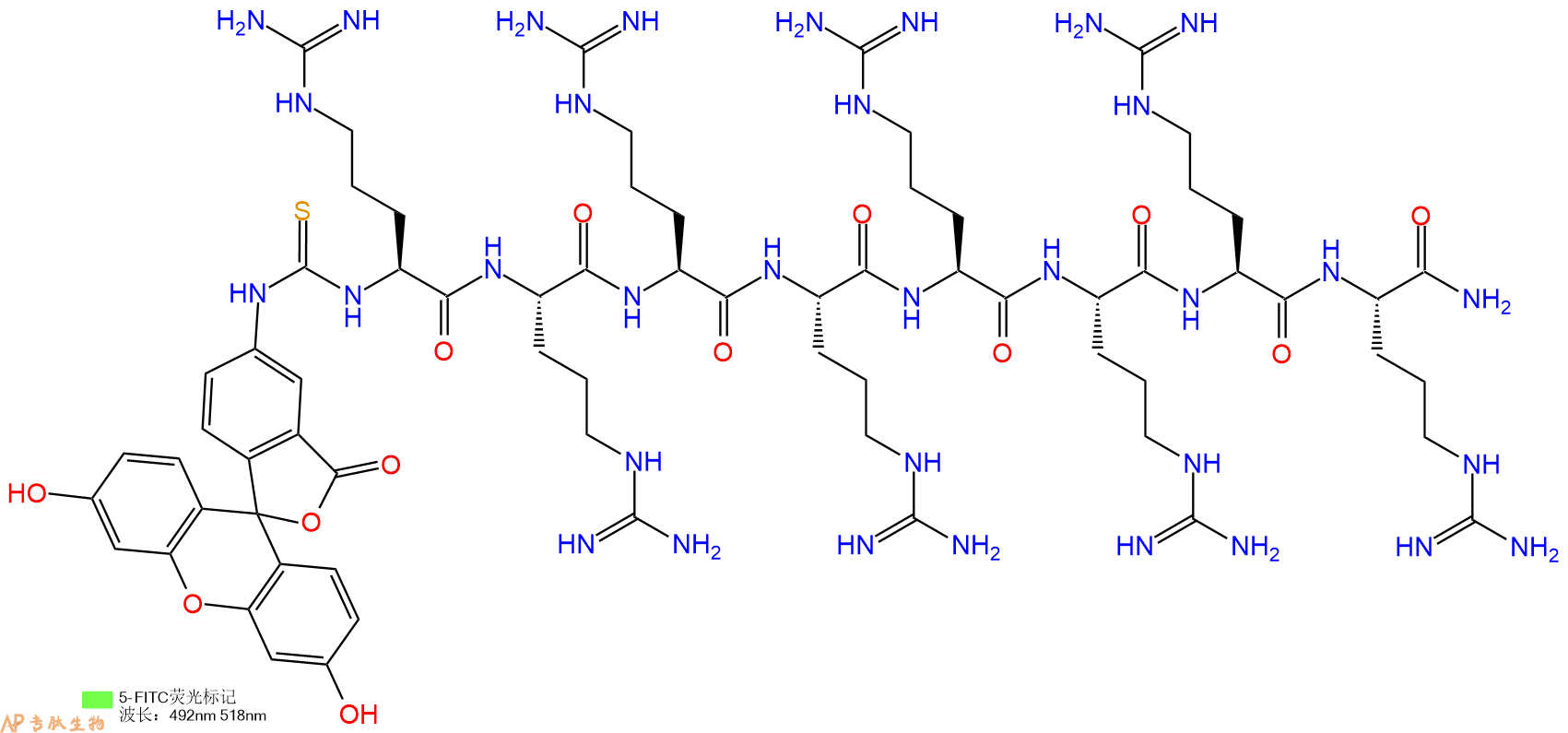 专肽生物产品5FITC-Arg-Arg-Arg-Arg-Arg-Arg-Arg-Arg-CONH2