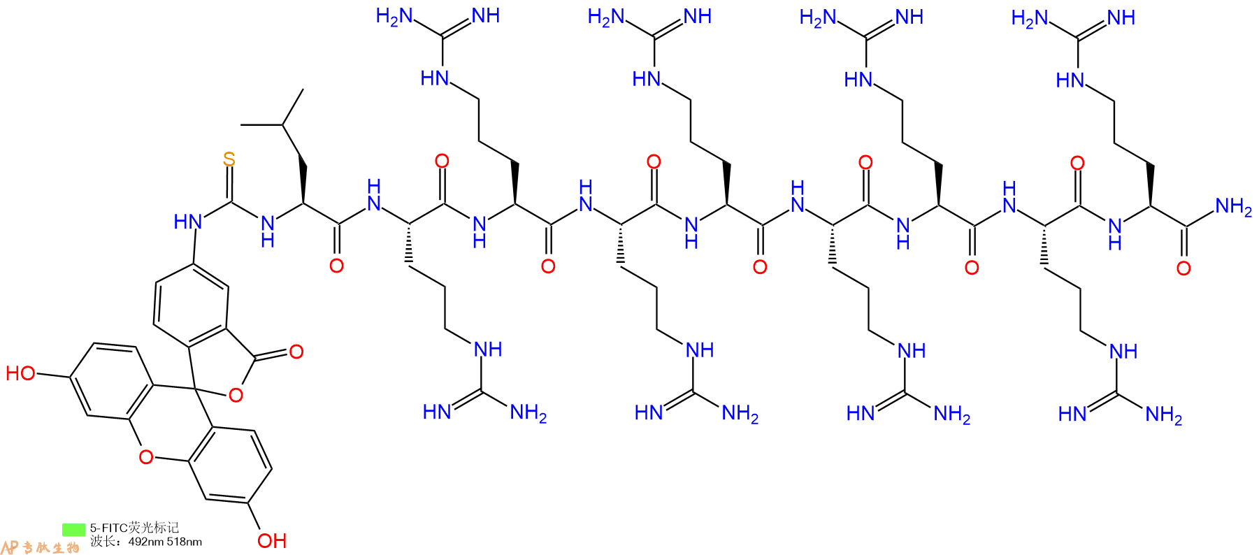 专肽生物产品5FITC-Leu-Arg-Arg-Arg-Arg-Arg-Arg-Arg-Arg-CONH2