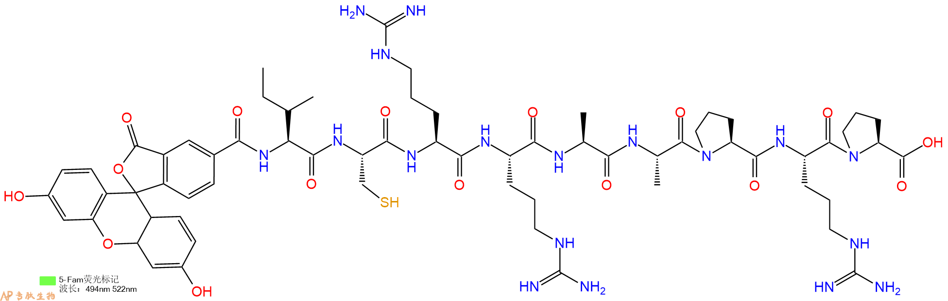 专肽生物产品5FAM-Ile-Cys-Arg-Arg-Ala-Ala-Pro-Arg-Pro-OH