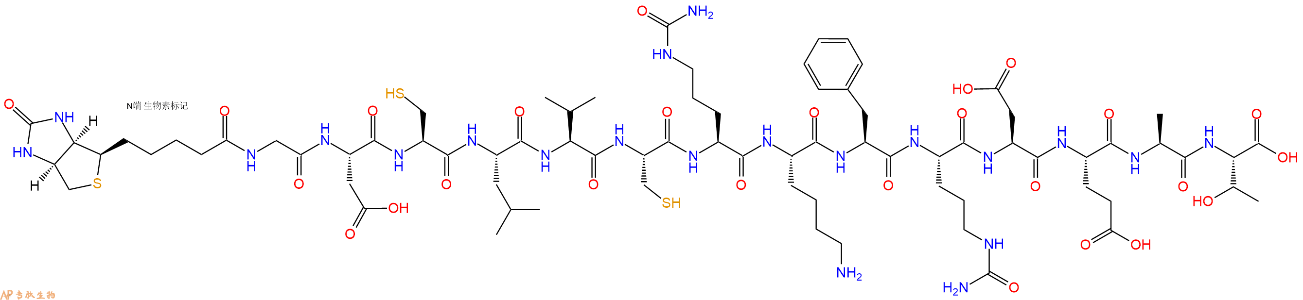 专肽生物产品Biotinyl-Gly-Asp-Cys-Leu-Val-Cys-Cit-Lys-Phe-Cit-Asp-Glu-Ala-Thr-OH