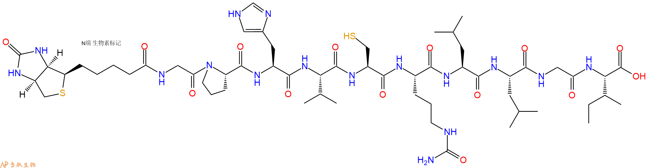 专肽生物产品Biotinyl-Gly-Pro-His-Val-Cys-Cit-Leu-Leu-Gly-Ile-OH
