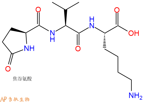 专肽生物产品Pyr-Val-Lys-OH
