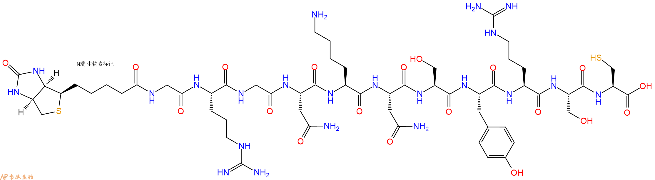 专肽生物产品Biotinyl-Gly-Arg-Gly-Asn-Lys-Asn-Ser-Tyr-Arg-Ser-Cys-OH