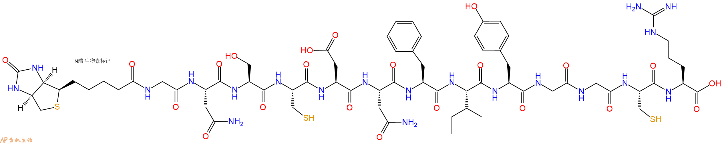 专肽生物产品Biotinyl-Gly-Asn-Ser-Cys-Asp-Asn-Phe-Ile-Tyr-Gly-Gly-Cys-Arg-OH