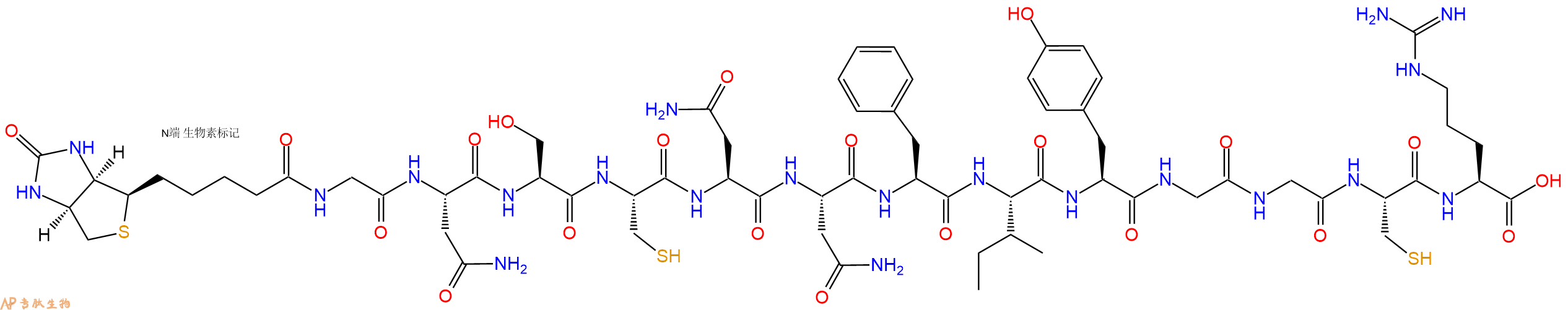 专肽生物产品Biotinyl-Gly-Asn-Ser-Cys-Asn-Asn-Phe-Ile-Tyr-Gly-Gly-Cys-Arg-OH