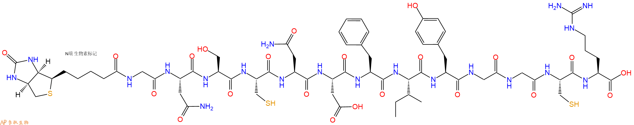 专肽生物产品Biotinyl-Gly-Asn-Ser-Cys-Asn-Asp-Phe-Ile-Tyr-Gly-Gly-Cys-Arg-OH