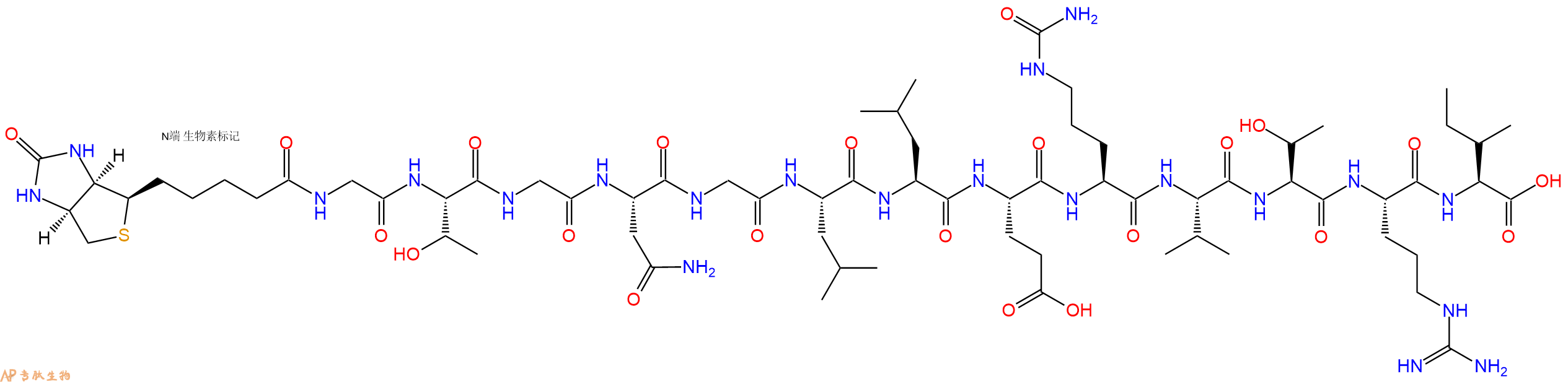 专肽生物产品Biotinyl-Gly-Thr-Gly-Asn-Gly-Leu-Leu-Glu-Cit-Val-Thr-Arg-Ile-OH