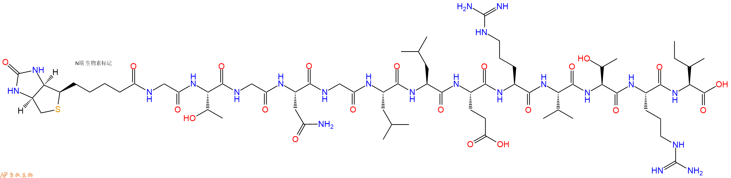 专肽生物产品Biotinyl-Gly-Thr-Gly-Asn-Gly-Leu-Leu-Glu-Arg-Val-Thr-Arg-Ile-OH