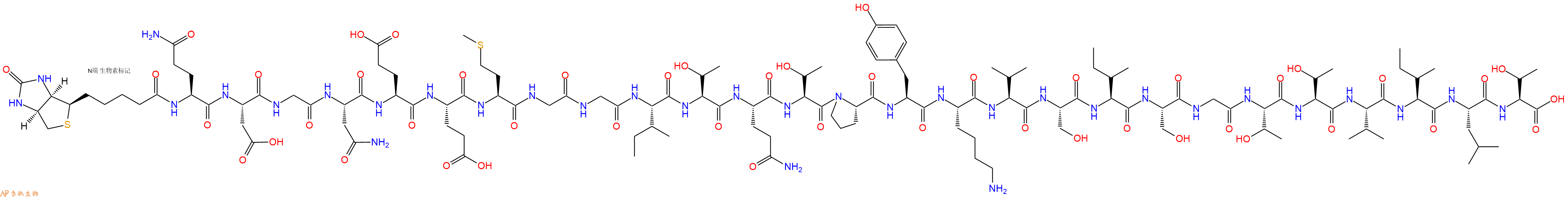 专肽生物产品Biotinyl-Gln-Asp-Gly-Asn-Glu-Glu-Met-Gly-Gly-Ile-Thr-Gln-Thr-Pro-Tyr-Lys-Val-Ser-Ile-Ser-Gly-Thr-Thr-Val-Ile-Leu-Thr-OH
