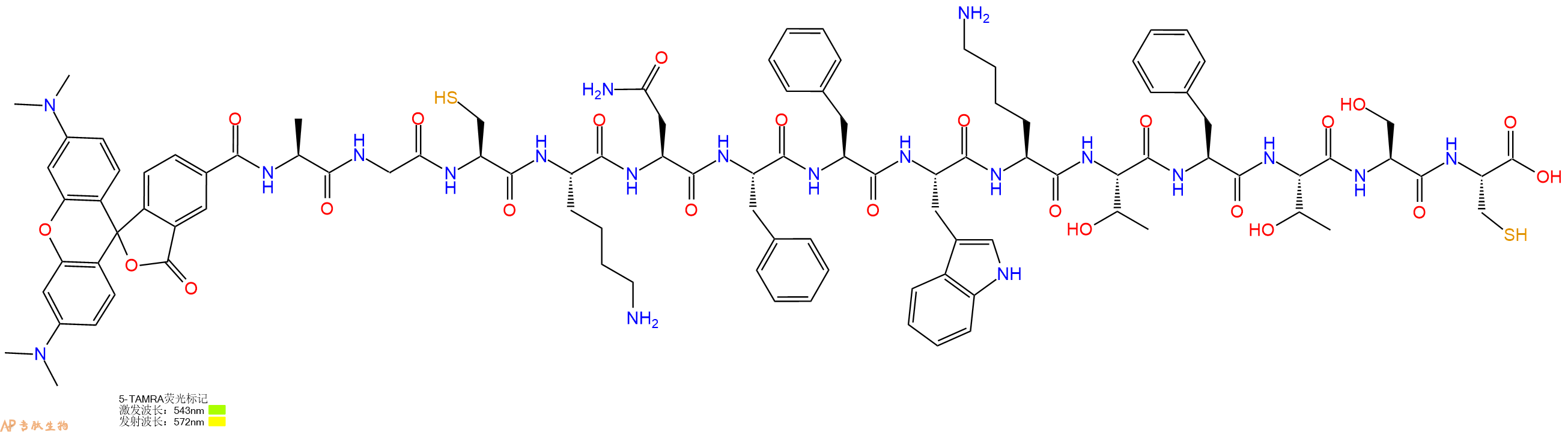 专肽生物产品5TAMRA-Ala-Gly-Cys-Lys-Asn-Phe-Phe-Trp-Lys-Thr-Phe-Thr-Ser-Cys-OH