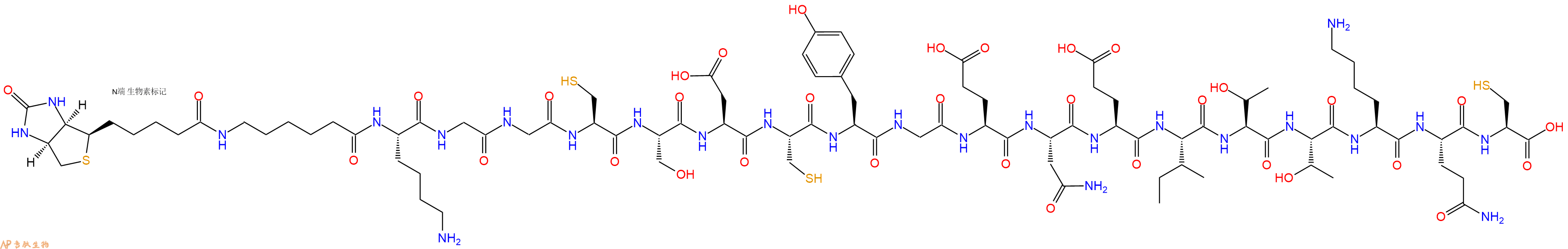 专肽生物产品Biotinyl-Ahx-Lys-Gly-Gly-Cys-Ser-Asp-Cys-Tyr-Gly-Glu-Asn-Glu-Ile-Thr-Thr-Lys-Gln-Cys-OH