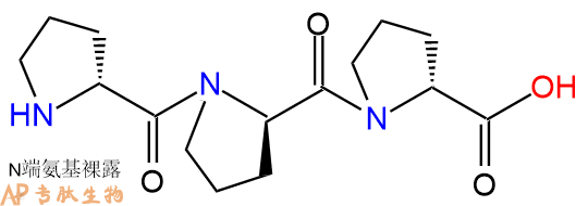 专肽生物产品H2N-DPro-DPro-DPro-OH