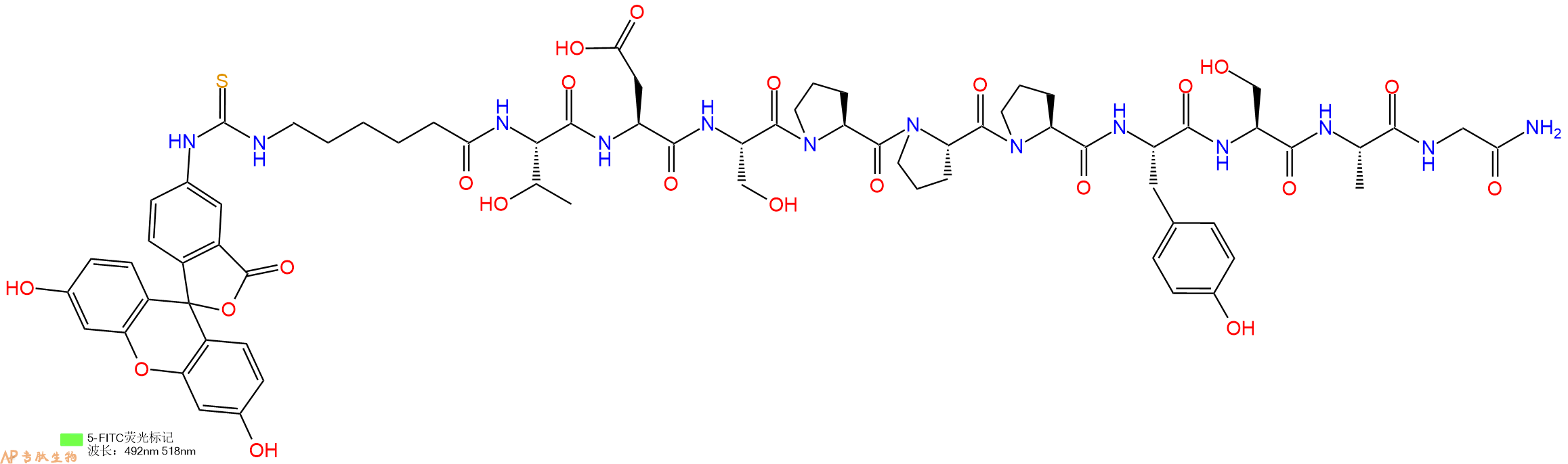 专肽生物产品5FITC-Ahx-Thr-Asp-Ser-Pro-Pro-Pro-Tyr-Ser-Ala-Gly-CONH2