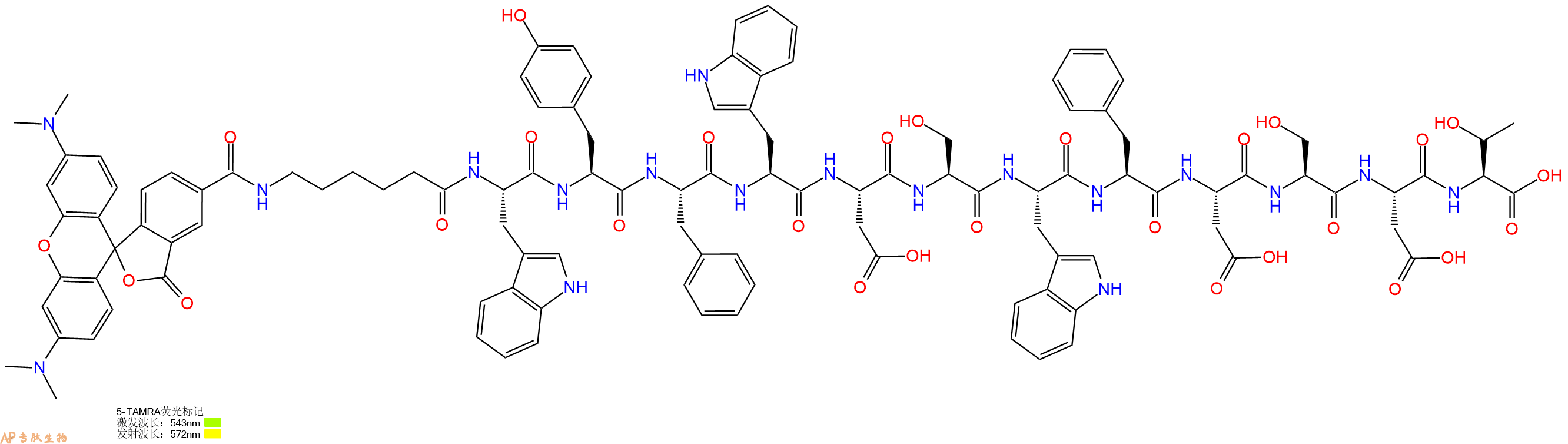 专肽生物产品5TAMRA-Ahx-Trp-Tyr-Phe-Trp-Asp-Ser-Trp-Phe-Asp-Ser-Asp-Thr-OH