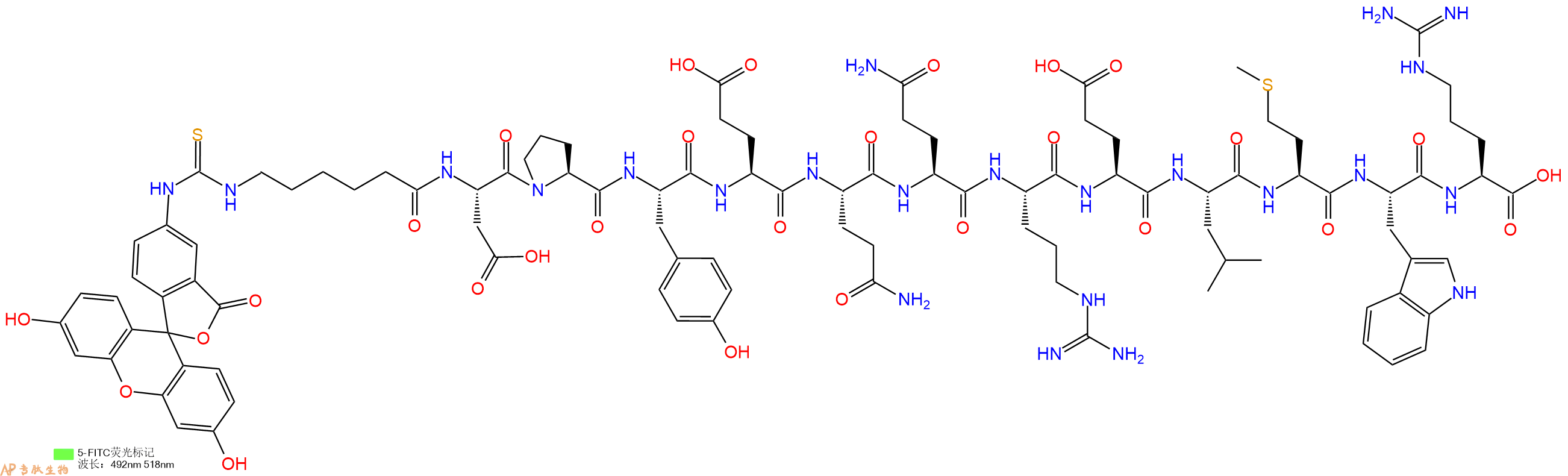 专肽生物产品5FITC-Ahx-Asp-Pro-Tyr-Glu-Gln-Gln-Arg-Glu-Leu-Met-Trp-Arg-OH