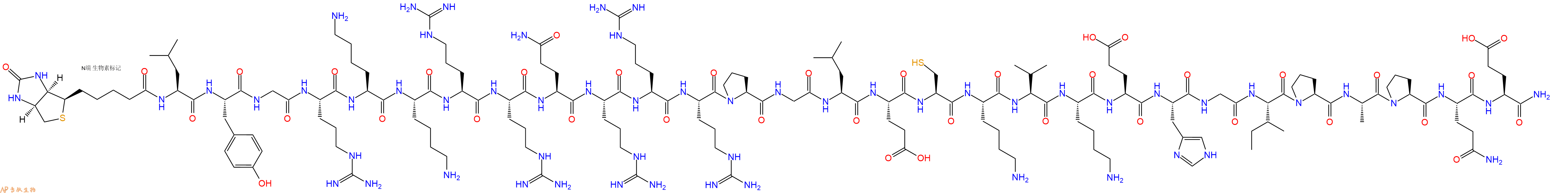 专肽生物产品Biotinyl-Leu-Tyr-Gly-Arg-Lys-Lys-Arg-Arg-Gln-Arg-Arg-Arg-Pro-Gly-Leu-Glu-Cys-Lys-Val-Lys-Glu-His-Gly-Ile-Pro-Ala-Pro-Gln-Glu-CONH2