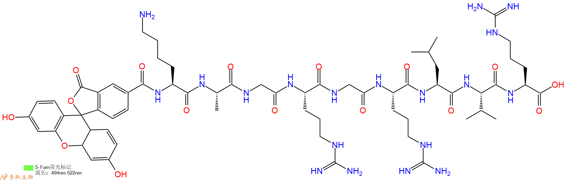 专肽生物产品5FAM-Lys-Ala-Gly-Arg-Gly-Arg-Leu-Val-Arg-OH