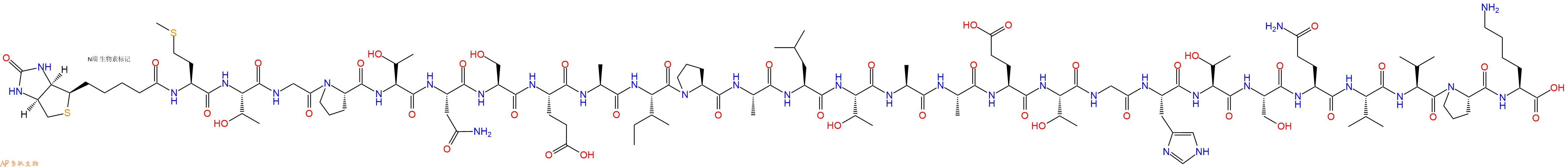 专肽生物产品Biotinyl-Met-Thr-Gly-Pro-Thr-Asn-Ser-Glu-Ala-Ile-Pro-Ala-Leu-Thr-Ala-Ala-Glu-Thr-Gly-His-Thr-Ser-Gln-Val-Val-Pro-Lys-OH