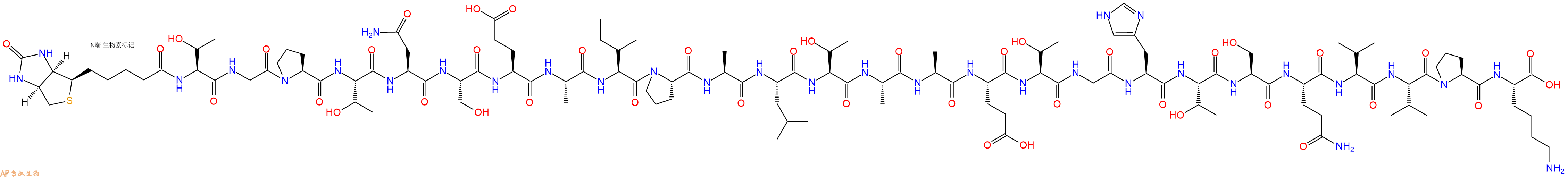 专肽生物产品Biotinyl-Thr-Gly-Pro-Thr-Asn-Ser-Glu-Ala-Ile-Pro-Ala-Leu-Thr-Ala-Ala-Glu-Thr-Gly-His-Thr-Ser-Gln-Val-Val-Pro-Lys-OH