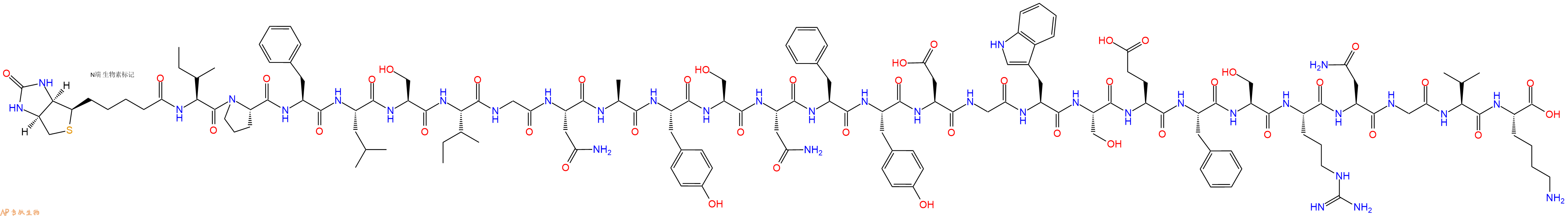 专肽生物产品Biotinyl-Ile-Pro-Phe-Leu-Ser-Ile-Gly-Asn-Ala-Tyr-Ser-Asn-Phe-Tyr-Asp-Gly-Trp-Ser-Glu-Phe-Ser-Arg-Asn-Gly-Val-Lys-OH