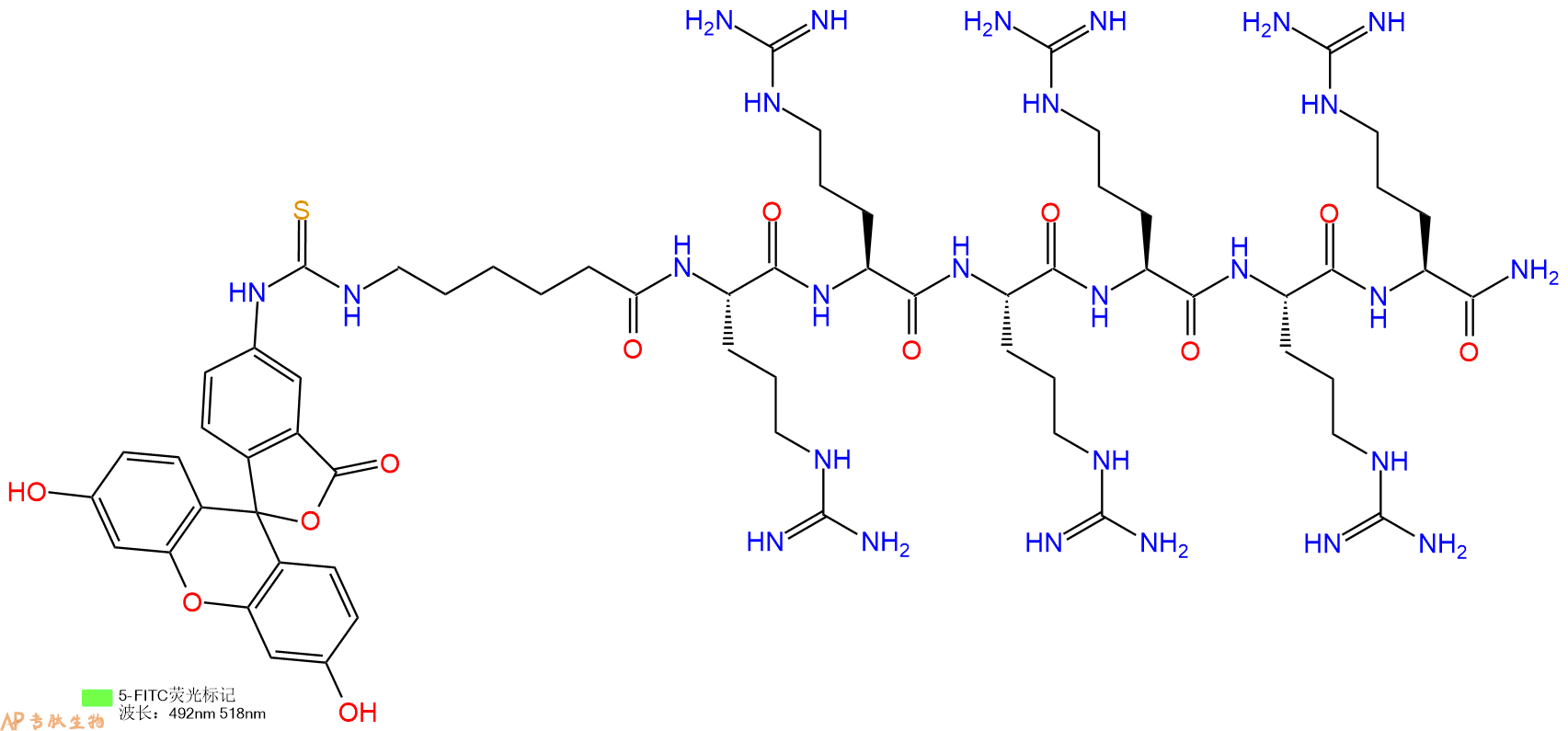 专肽生物产品5FITC-Ahx-Arg-Arg-Arg-Arg-Arg-Arg-CONH2