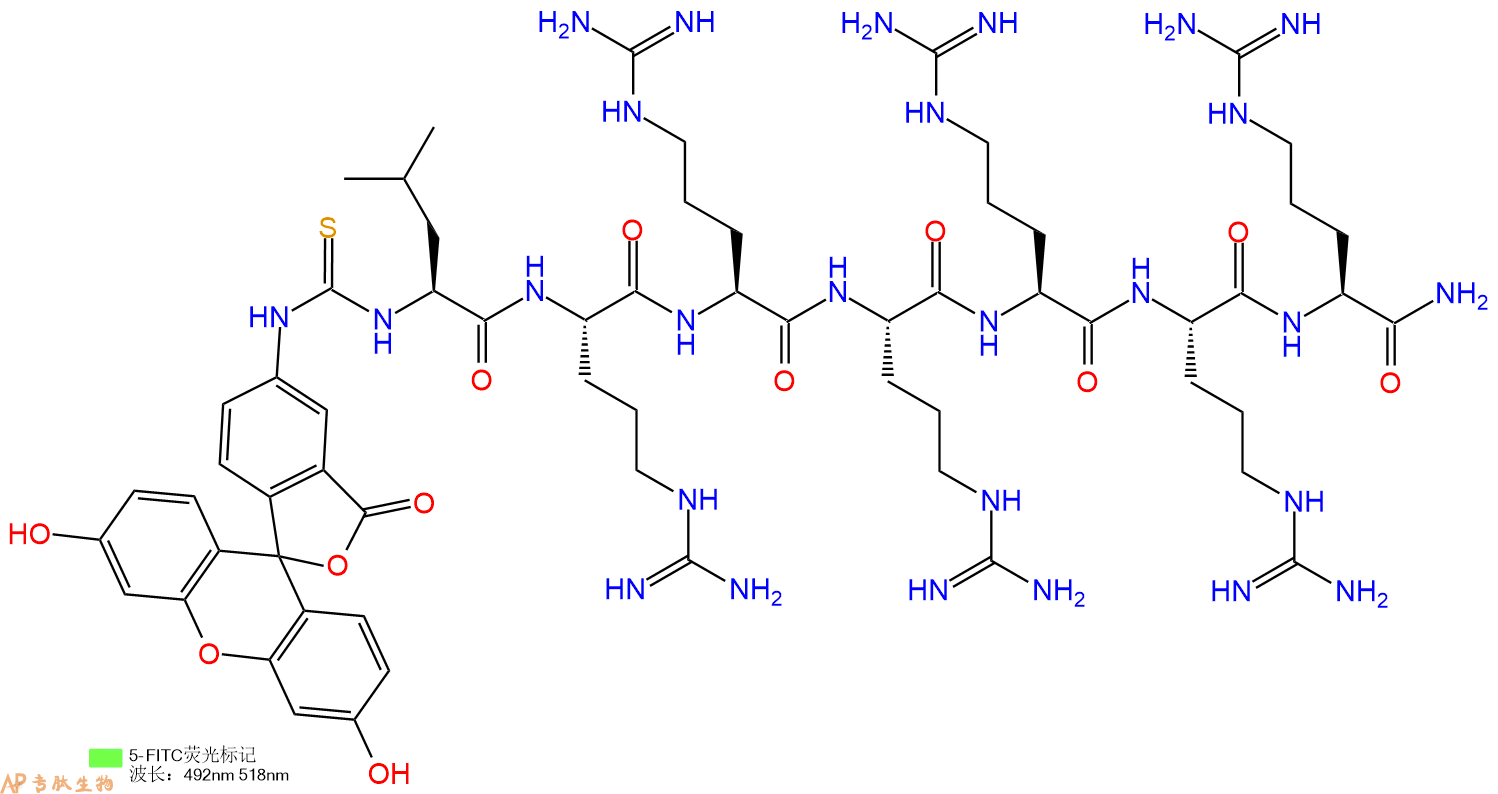 专肽生物产品5FITC-Leu-Arg-Arg-Arg-Arg-Arg-Arg-CONH2