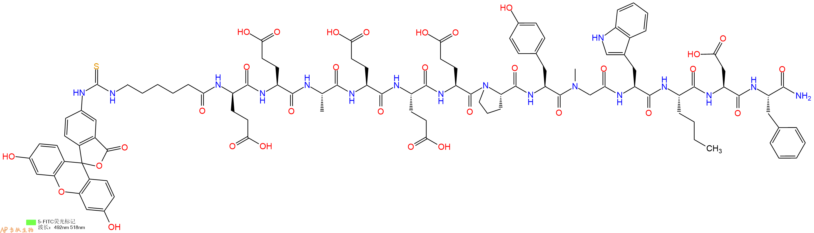 专肽生物产品5FITC-Ahx-DGlu-Glu-Ala-Glu-Glu-Glu-Pro-Tyr-Sar-Trp-Nle-Asp-Phe-CONH2
